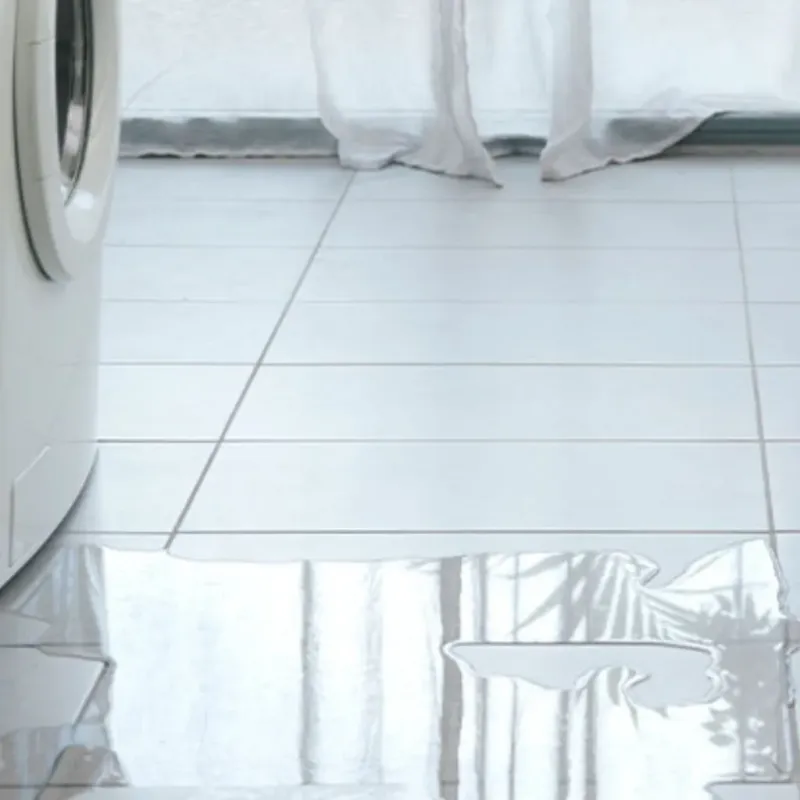 Appliance Leak Cleanup in Schererville, IN