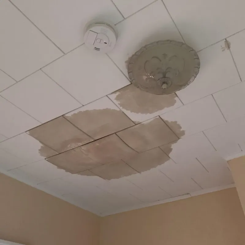 Ceiling Water Damage Repair in Schererville, IN