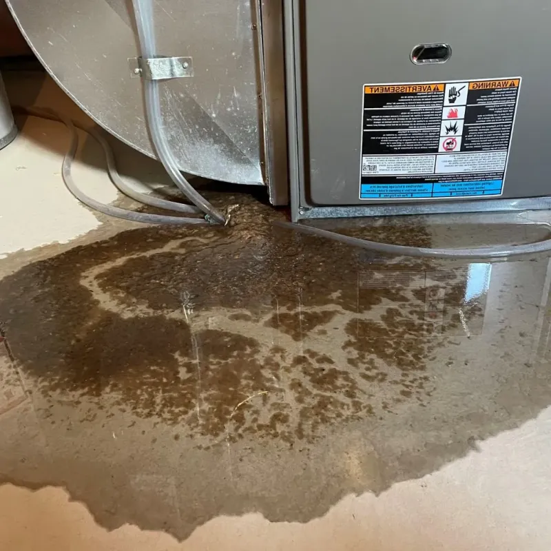 Pipe Burst and Leak Restoration in Schererville, IN