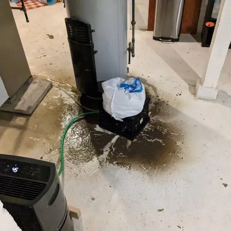 Sewage Backup Cleanup Service in Schererville, IN